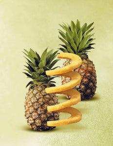 Pineapple Slicer - PROFESSIONAL 13500