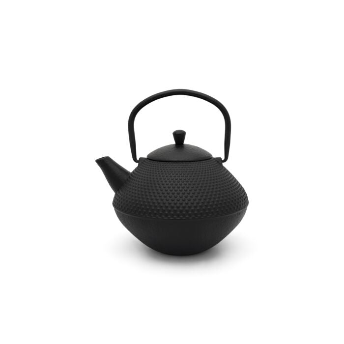 Xinjiang Cast Iron Teapot 1.0 L
