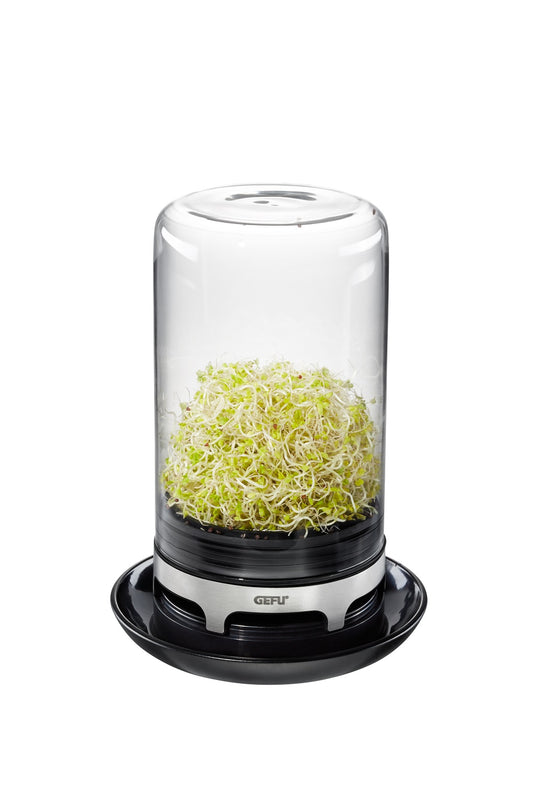 Sprouting Jar - BIVITA