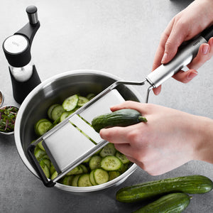 Vegetable and Potato Grater