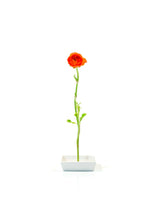 Load image into Gallery viewer, Florida Vase - The perfect hostess gift!
